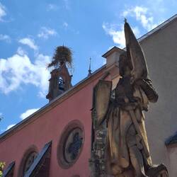 Und überall Storchennester