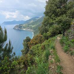 Hoch oben in Richtung Corniglia