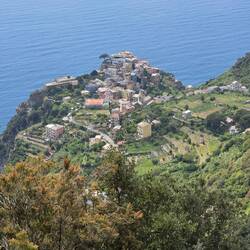 Ich nähere mich Corniglia