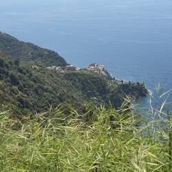 Diesen Weg bin ich gegangen und in der Ferne sieht man Manarola