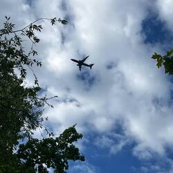 Encore des passages d'avions ce matin