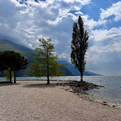 einer der wenigen sonnigen Momente