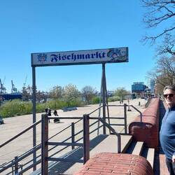 Dann kann der Spaziergang an der Elbe entlang beginnen.