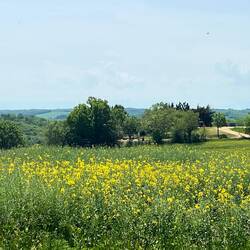 Can't see them here but mountains!