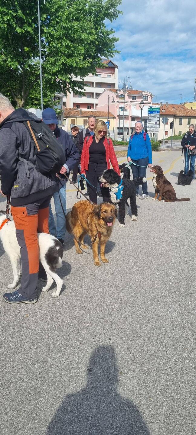 Wir warten aufs Schiff