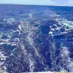 Das Gurgeln, das ich so mag