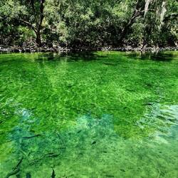 Es war wirklich so grün🤣