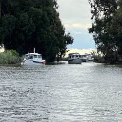 Several of the boats coming thru the channel the Duck Club dock is in.