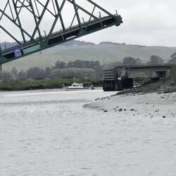 Video of the train bridge closing.