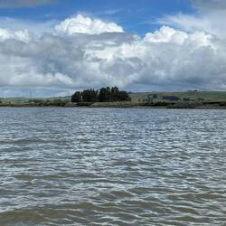 Looks like wing dams? We're at the bottom of low tide.