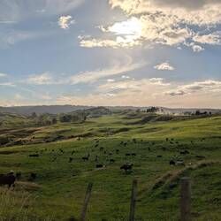 The countryside above the caves