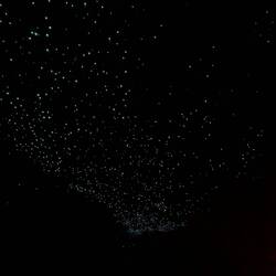 This is looking up at the roof of the cave along the length of the stream underneath