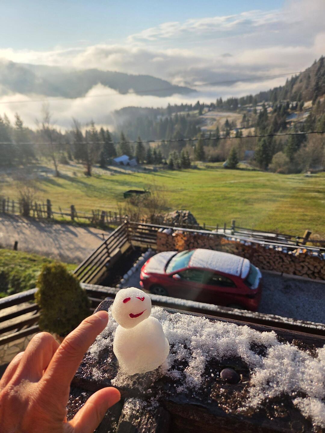 Snowbaby made last night, survived till the morning.