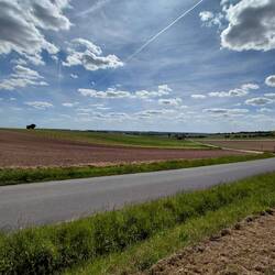 Just arable land and vineyards as far as the eye can see