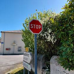 And STOP