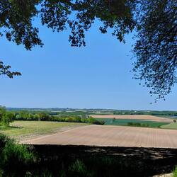A window on the paddocks of crops below