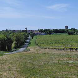 Looking back across the vineyards towards our village