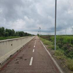 The cycle way