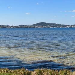 Sicht über die Bucht auf die Stadt Albany