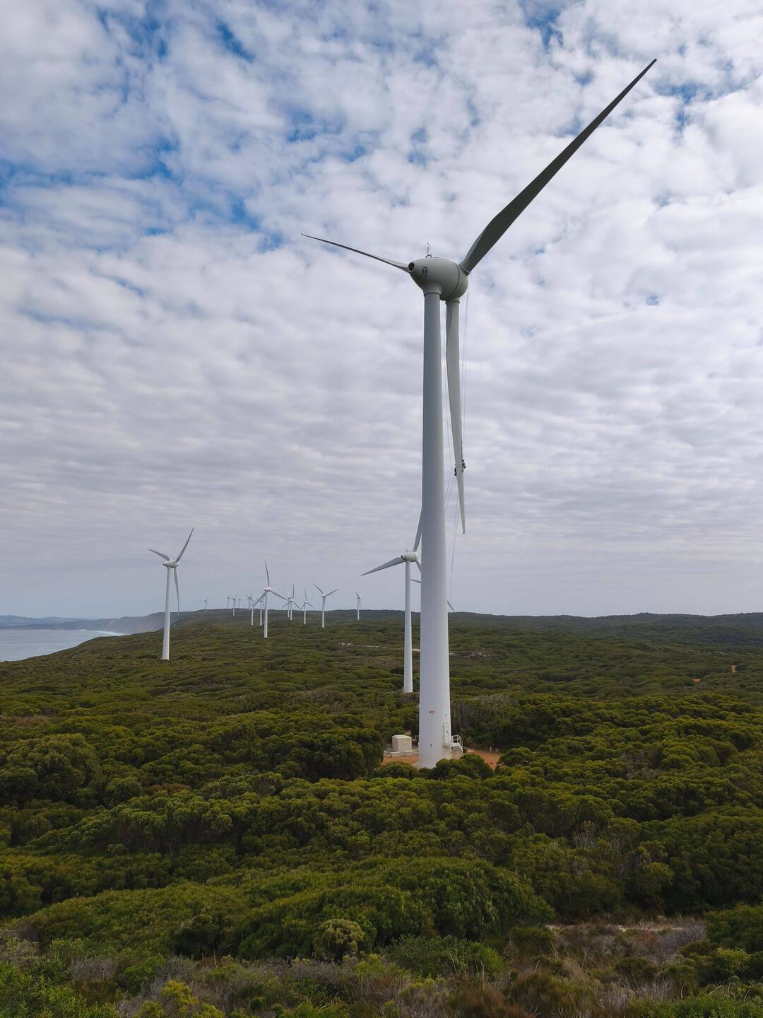 Albany Wind Farm