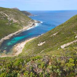 Jimmy Newell's Harbour Lookout
