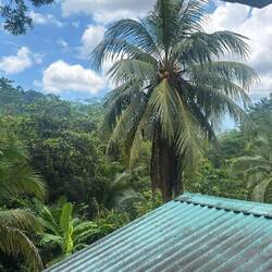 Casa Aire Libre von Jeremy