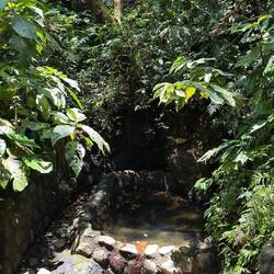 Naturpool