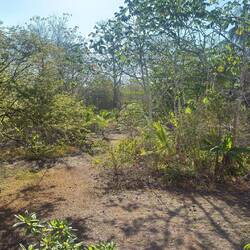 Jardín