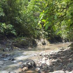 Río Tigre