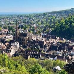 Thann mit der Stiftskirche