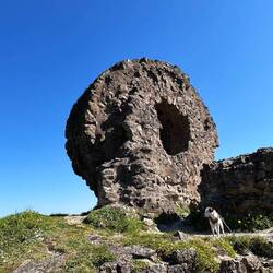 Der kleine Poser... mit Louie nicht möglich, der geht nirgends drauf