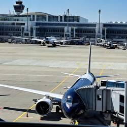 Unser "Vogel " ✈️