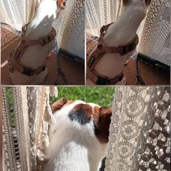 Gucken was so los ist