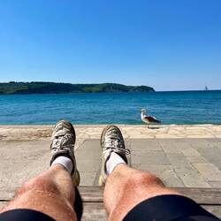 Charlie, je crois qu'on va avoir de la visite