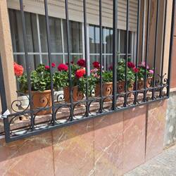 Flowers in the windows.