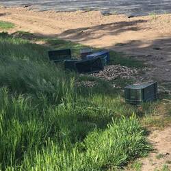 Boxes to rest on at an asparagus field.