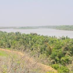Gambia River