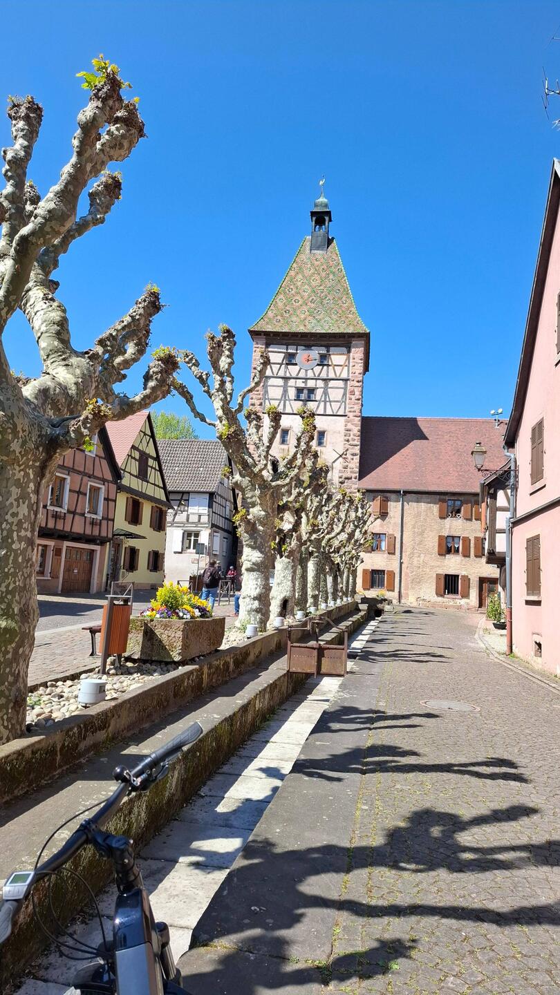 Bergheim