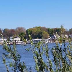 Blick zurück nach Teufelsbrück