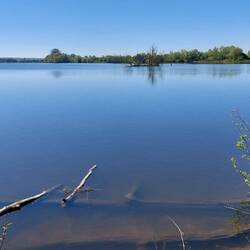 Die romantische alte Süderelbe