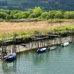 Soto del Barco / Rio Nation
