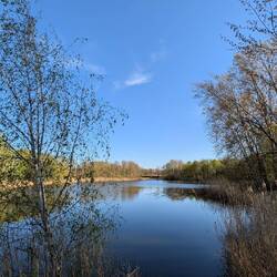 Der Schönefelder See