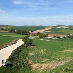 The camino going off into the distance