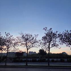 Bye bye Tour eiffel!