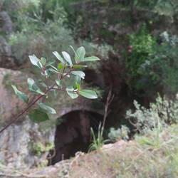 Die Höhle San Marti. Hier ist mal ein Wunder passiert!