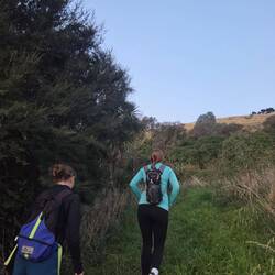Course d’orientation à la tombée de la nuit.