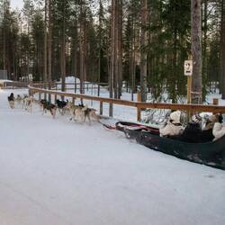 Husky rides at Santa Claus Village. We were booked at another venue, unfortunately it got cancelled.