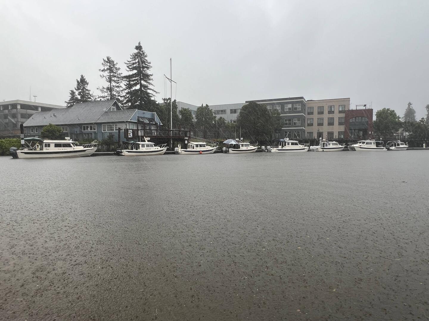 Last view of Petaluma.