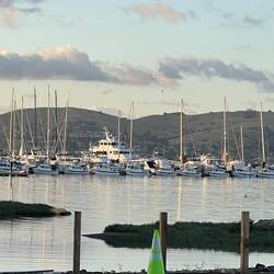 Another view of all the C-Dorys on F dock.