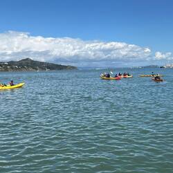 A group of kayakers came by.
